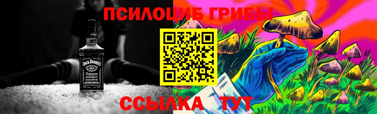 Галлюциногенные грибы мухоморы  Галлюциногенные грибы Cubensis  Вход с VPN  Астрахань 